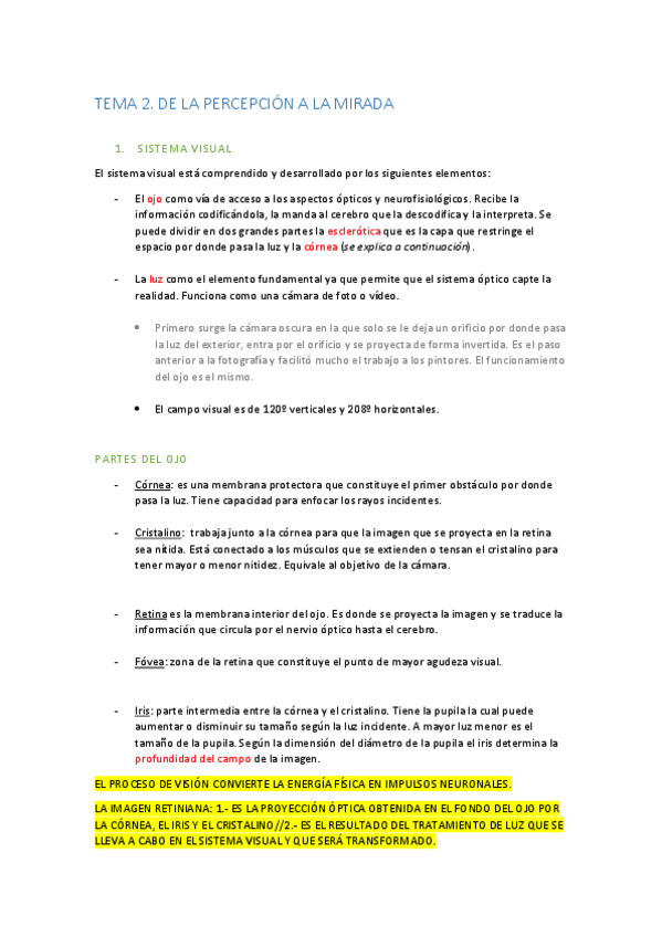 Miniatura del documento TEMA 2. DE LA PERCEPCION A LA MIRADA.pdf