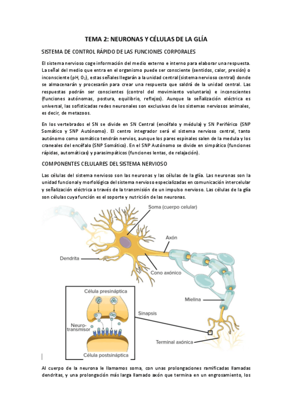 Miniatura del documento TEMA-2.pdf