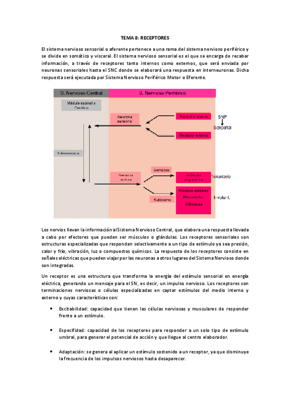 Miniatura del documento TEMA-8.pdf