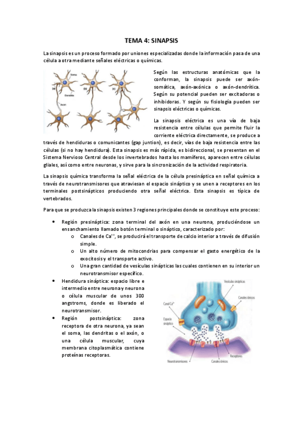 Miniatura del documento TEMA-4.pdf