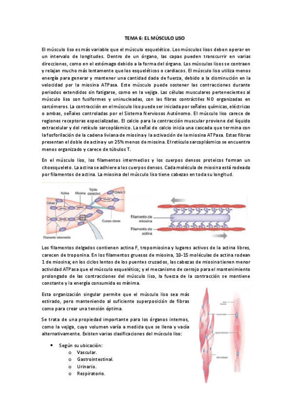 Miniatura del documento TEMA-6.pdf