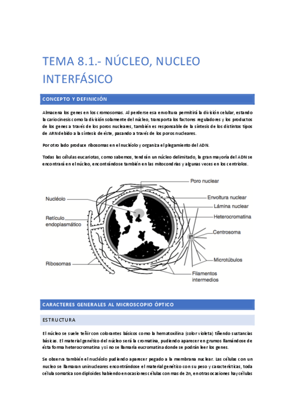 Miniatura del documento TEMA-8.pdf