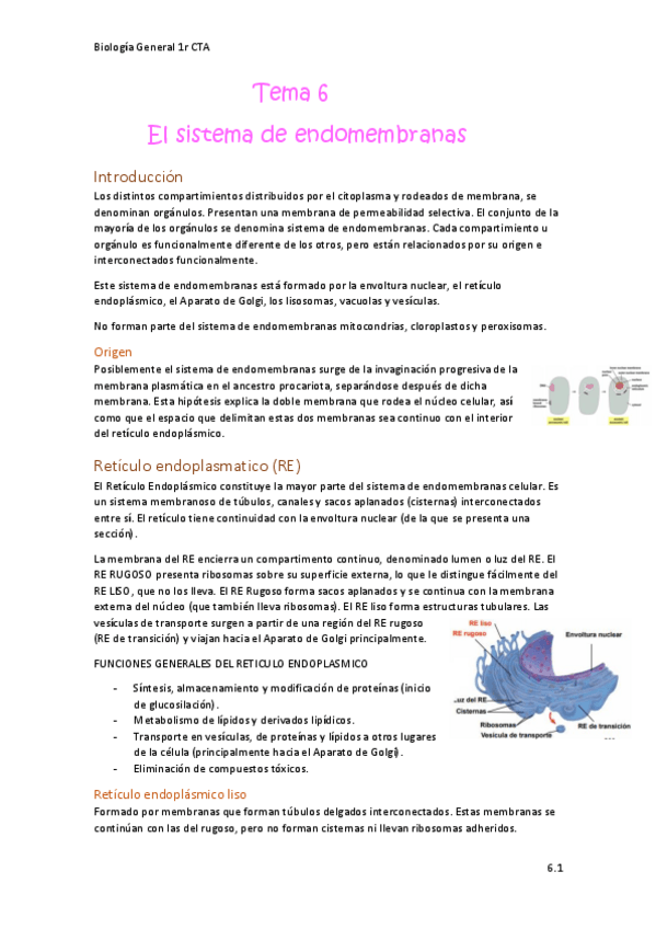 Miniatura del documento Bio-General-Tema-6.pdf