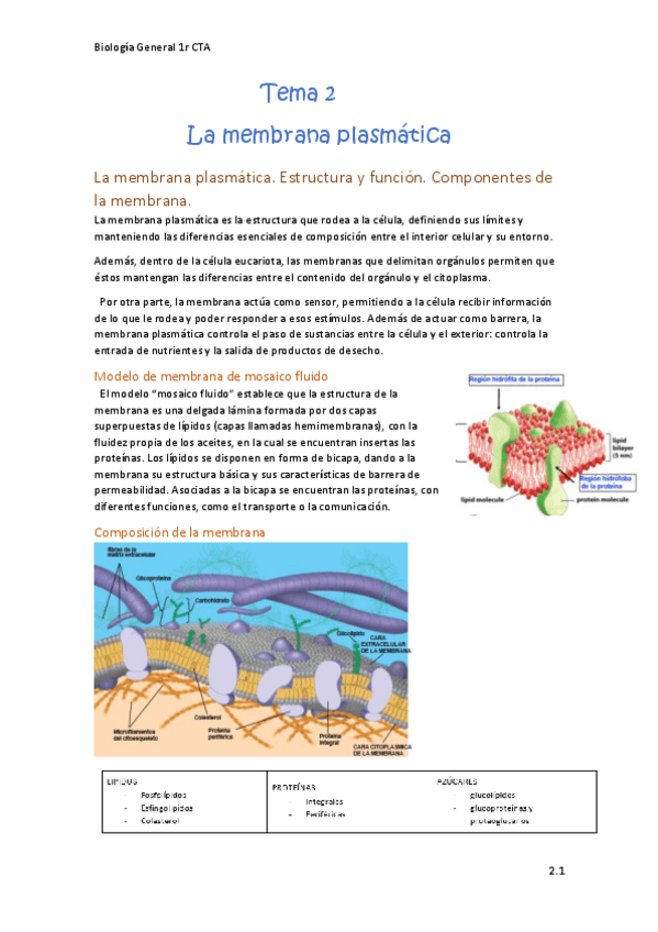 Miniatura del documento Bio-General-Tema-2.pdf