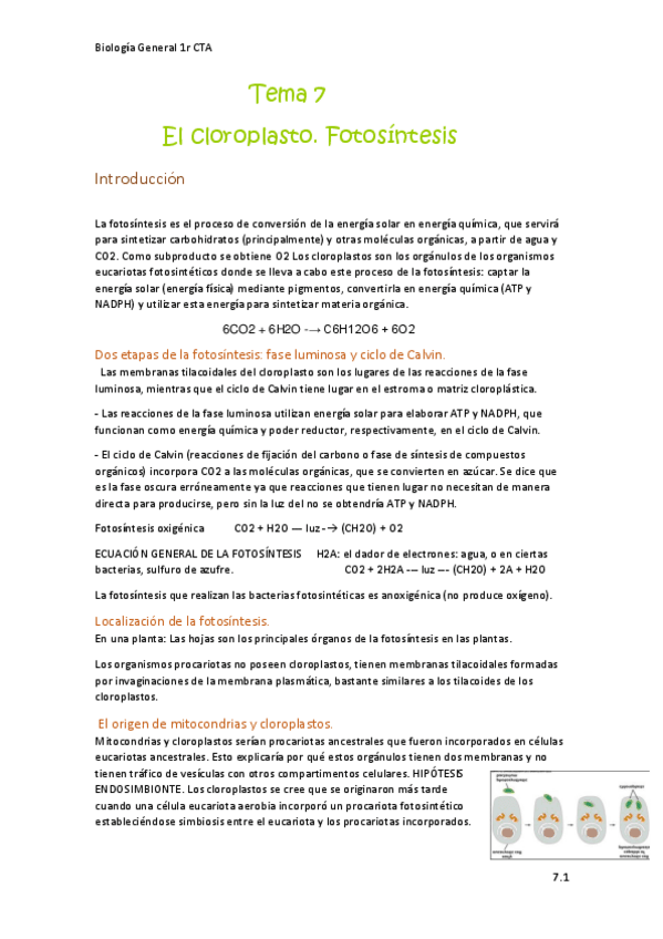 Miniatura del documento Bio-General-Tema-7.pdf