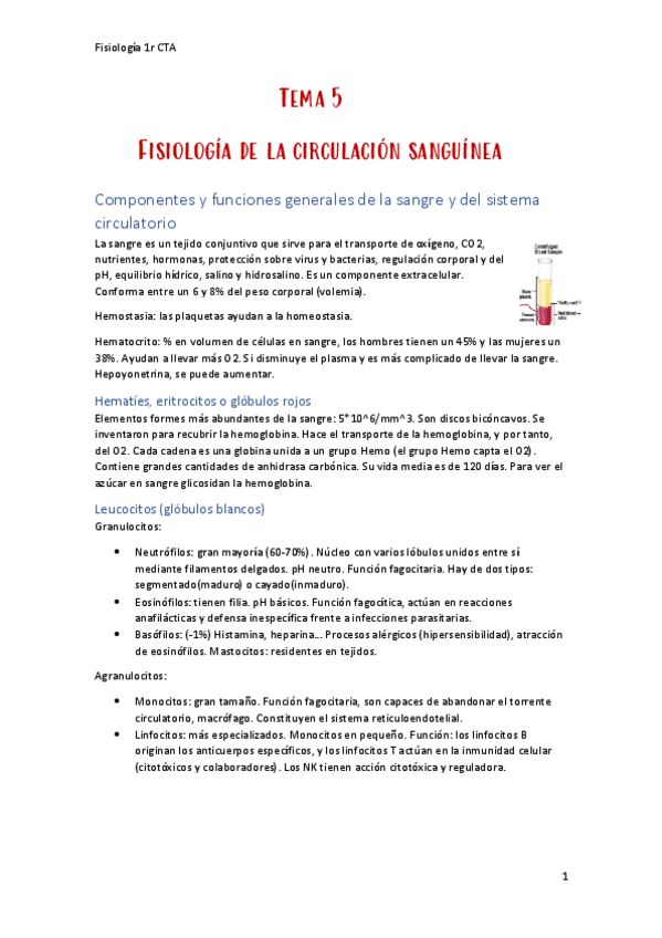 Miniatura del documento Fisiologia-Tema 5.pdf