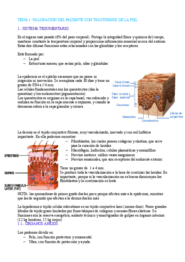 Miniatura del documento TEMA 1 CLINICA.pdf