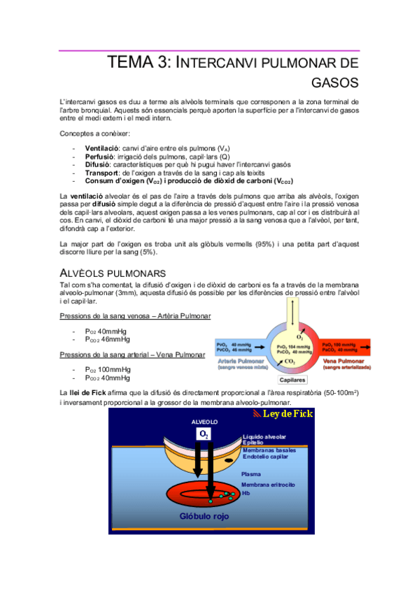 Miniatura del documento Tema3-Intercanvi-de-gasos.pdf