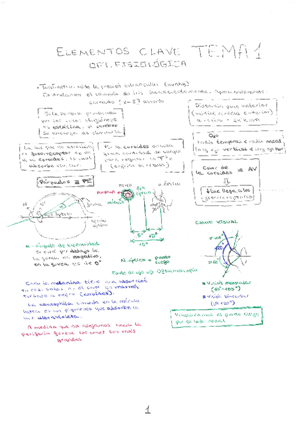 Miniatura del documento SKMBT_C55016101711380.pdf