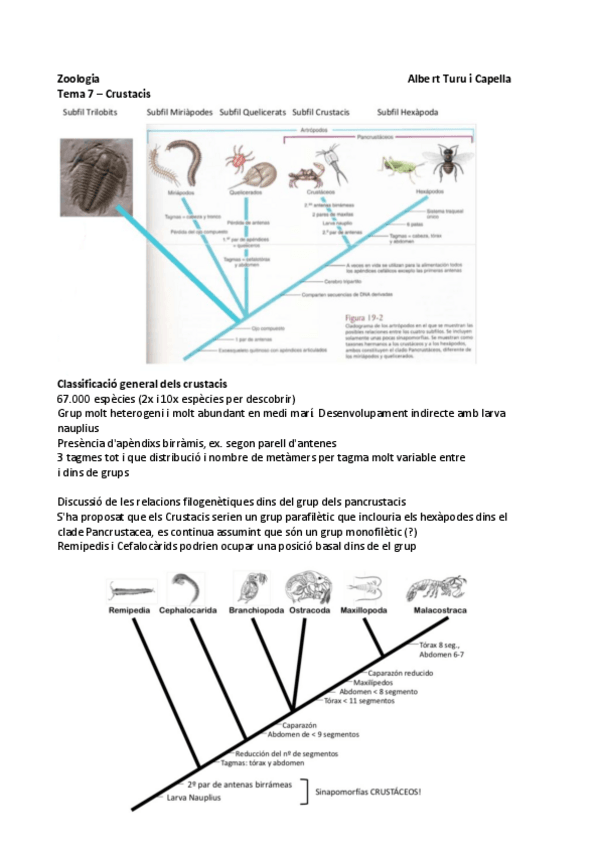 Miniatura del documento Tema-7-Crustacis-.pdf