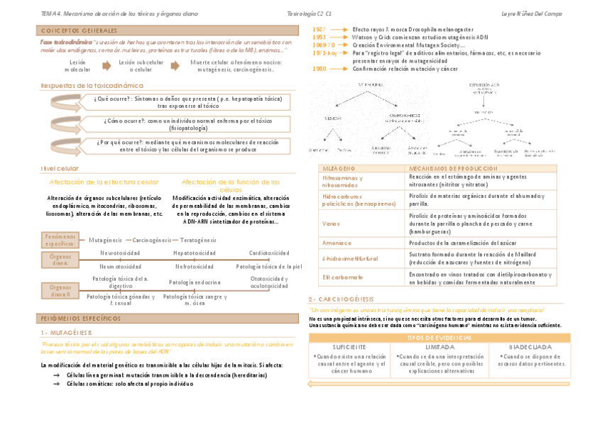 Miniatura del documento Tema 4 (a).pdf