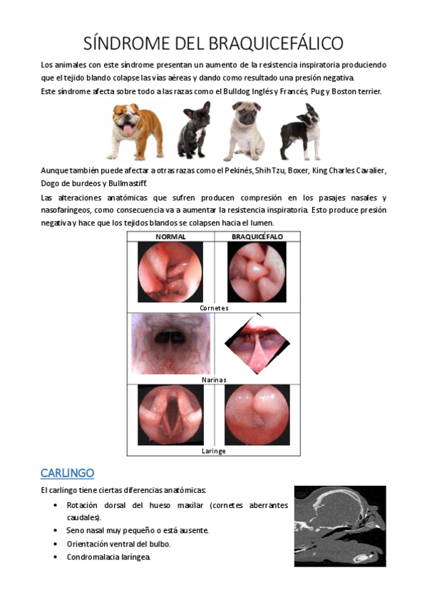 Miniatura del documento 13.pdf