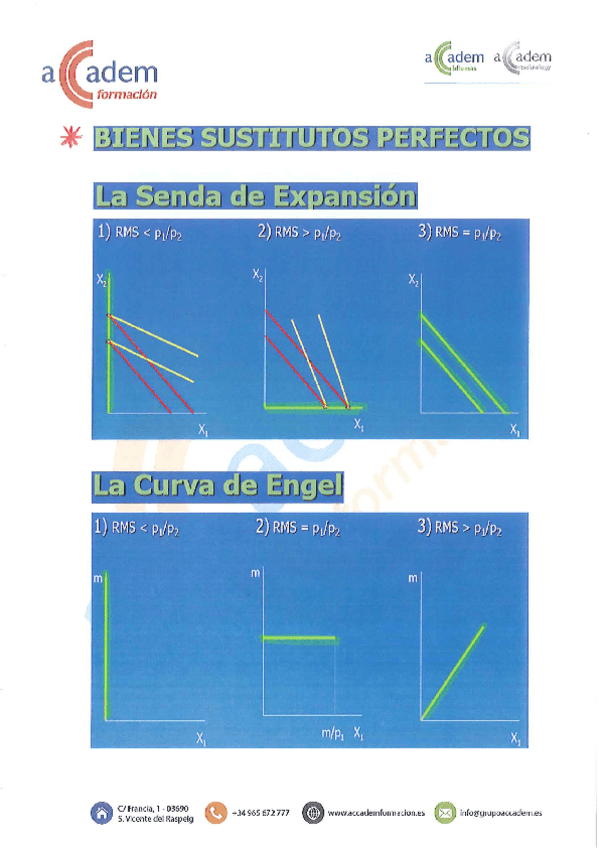 Miniatura del documento Curvas-Engel-Demanda-y-Senda-Expansion.pdf