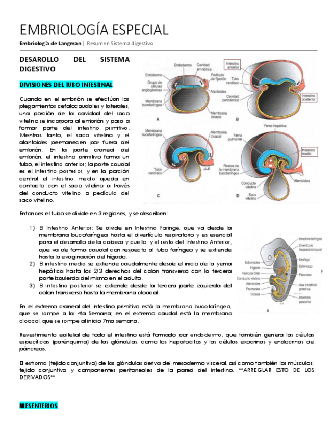 Miniatura del documento Embriologia-del-Sistema-Digestivo.pdf