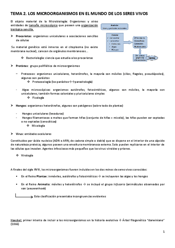 Miniatura del documento TEMA-2.pdf