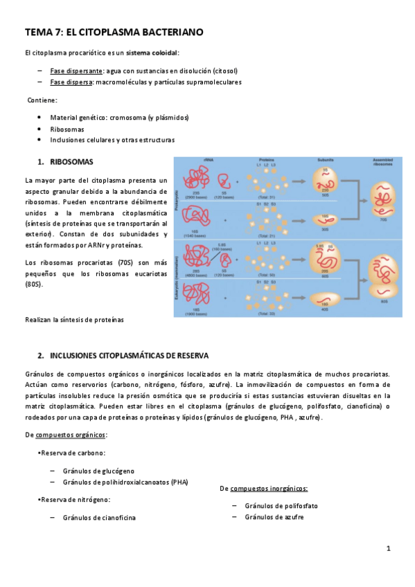 Miniatura del documento TEMA-7.pdf