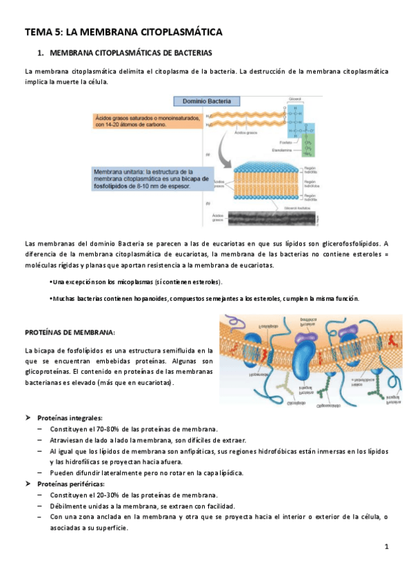 Miniatura del documento TEMA-5.pdf