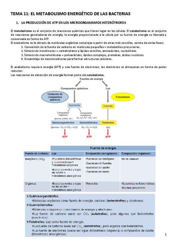 Miniatura del documento TEMA-11.pdf