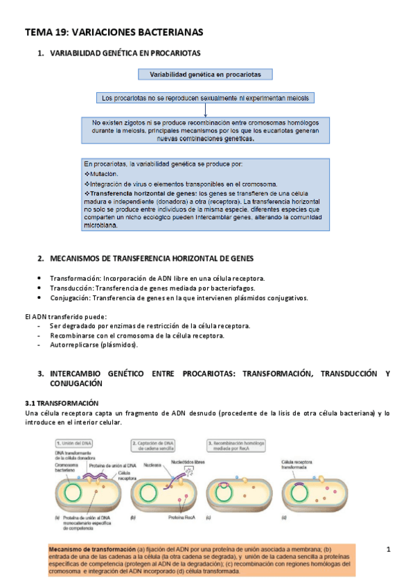 Miniatura del documento TEMA-19.pdf