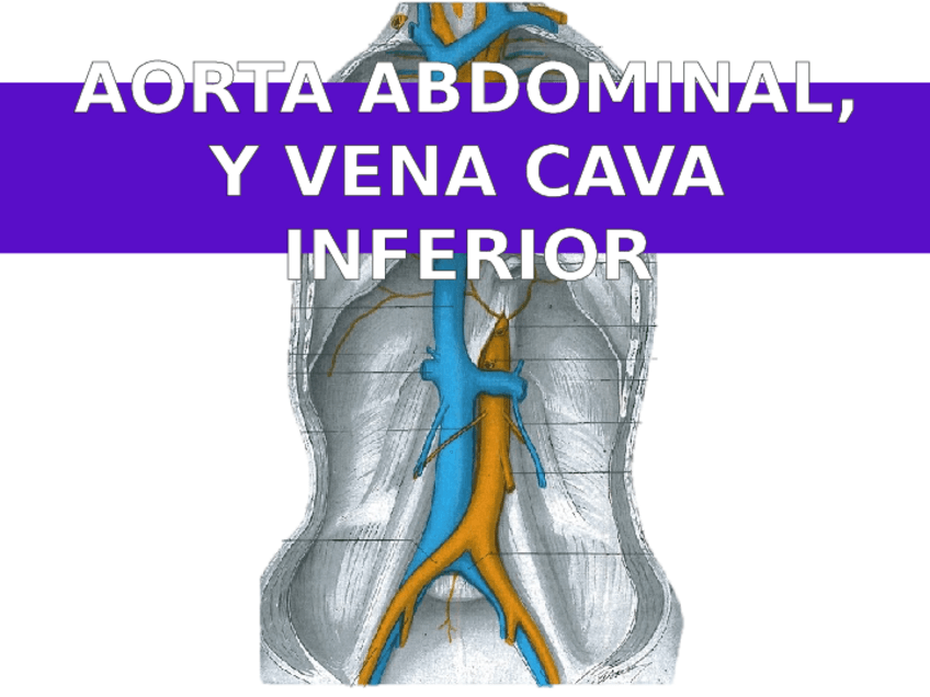 Miniatura del documento AORTA-Y-V.pptx