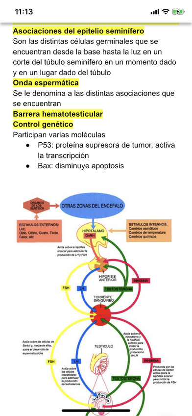 Miniatura del documento 31D7D733-88C1-4047-9934-3BEE30BDAAA9.png