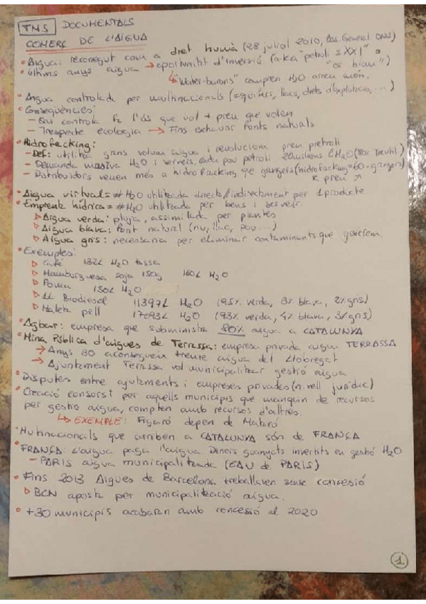 Miniatura del documento Resum-Documental-Aigua-TMS.pdf