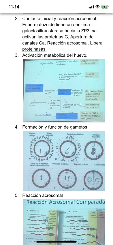Miniatura del documento DB7C23EE-53A2-4BC8-8122-8DAD76CC7BC5.png