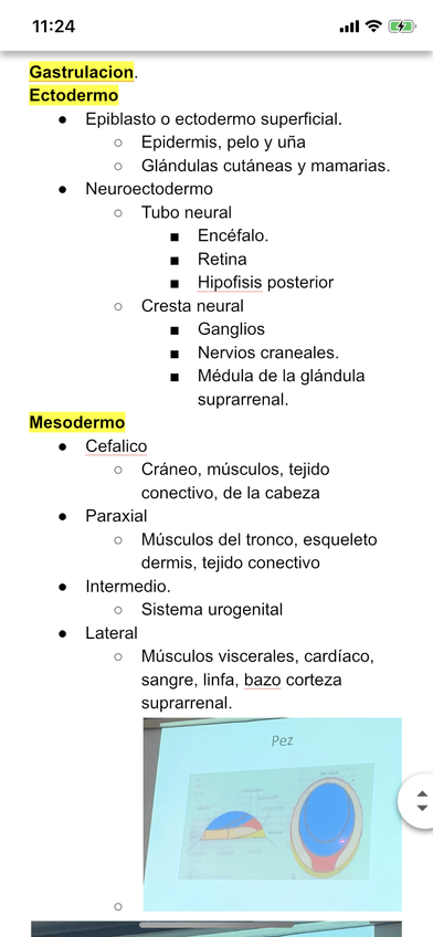 Miniatura del documento 122ADB7A-08A8-4D6E-BA00-F1936DF38F49.png
