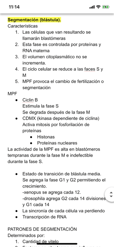 Miniatura del documento 16E57D87-7BDE-4832-A8F3-E10D2809DC65.png