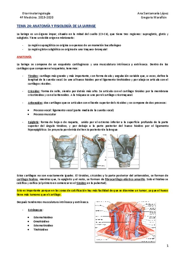 Miniatura del documento Tema-24-Anatomia-y-fisiologia-de-la-laringe.pdf