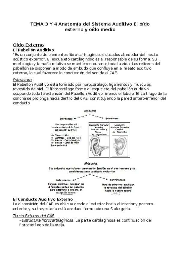 Miniatura del documento TEMA-3-Y-4-Anatomia-del-Sistema-Auditivo-El-oido-externo-y-oido-medio.docx
