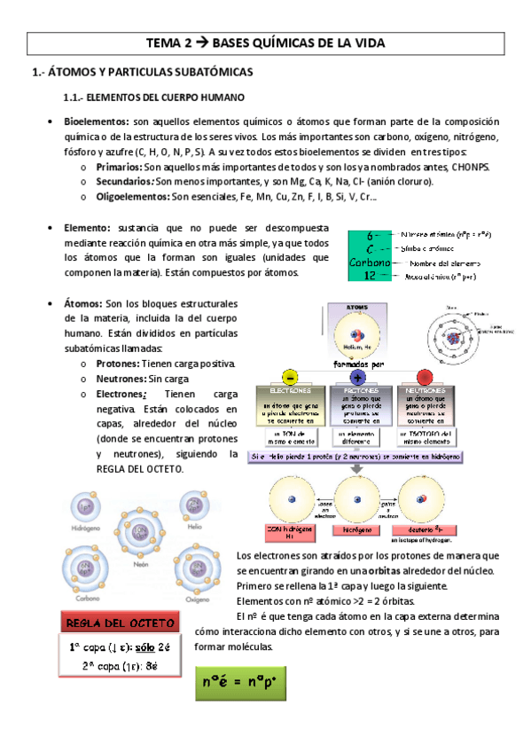 Miniatura del documento TEMA-2-BASES-QUIMICA-DE-LA-VIDA.pdf