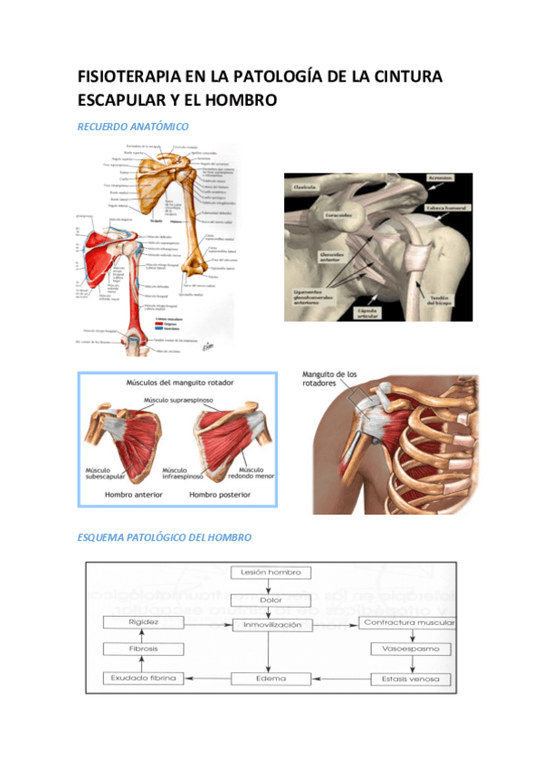 Miniatura del documento hombrito.pdf