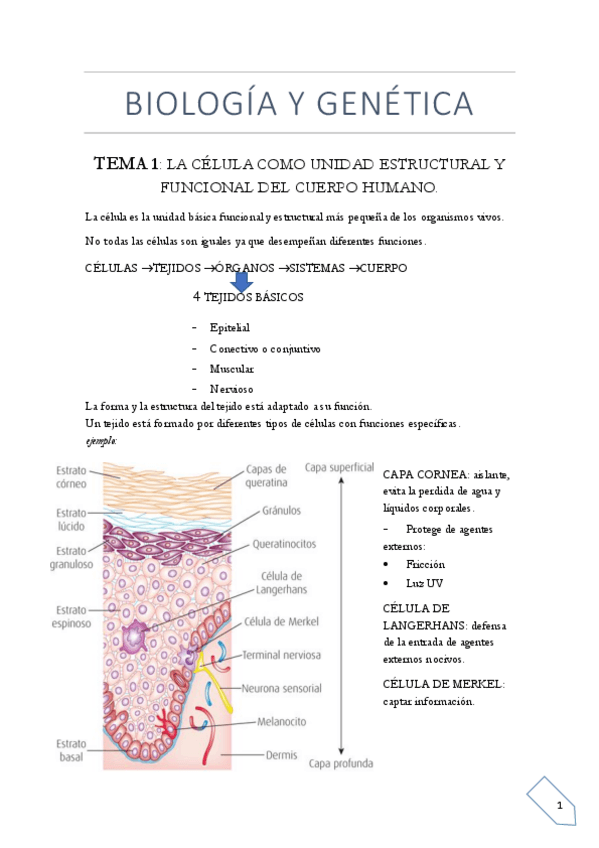 Miniatura del documento BIO-1nhd.pdf