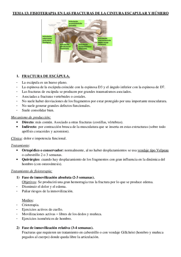 Miniatura del documento TEMA-13-FX-HOMBRO.pdf