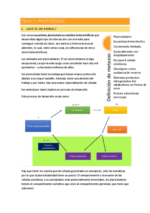 Miniatura del documento Tema-1-Protozoos.pdf