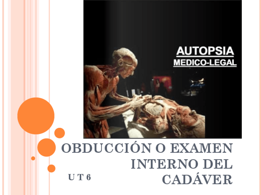 Miniatura del documento U-T-6-OBDUCCION-O-EXAMEN-INTERNO-DEL-CADAVER.pdf