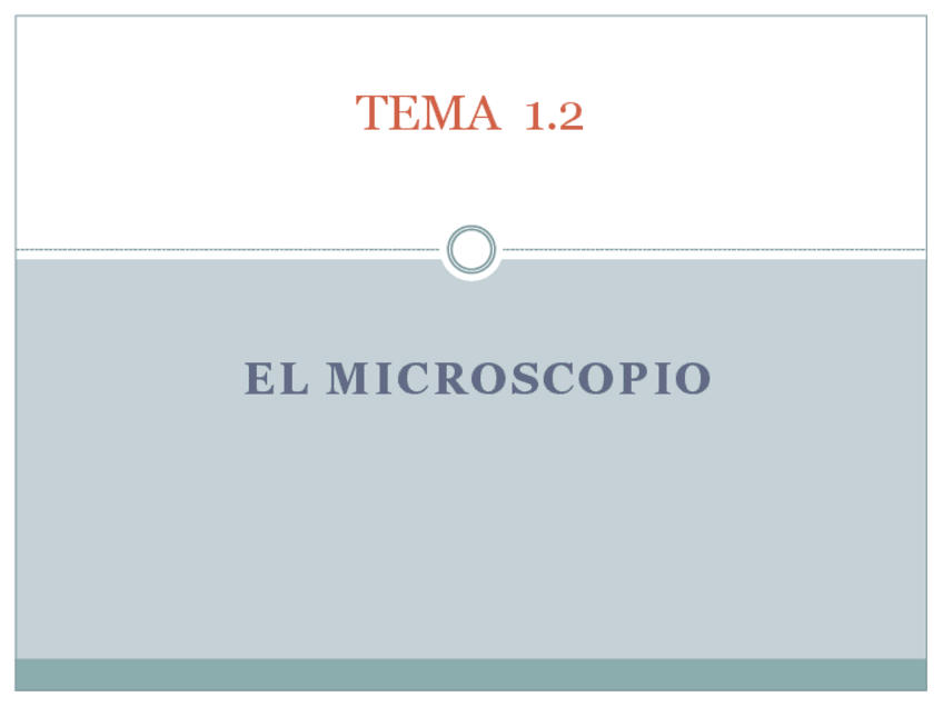 Miniatura del documento TEMA-1.pdf