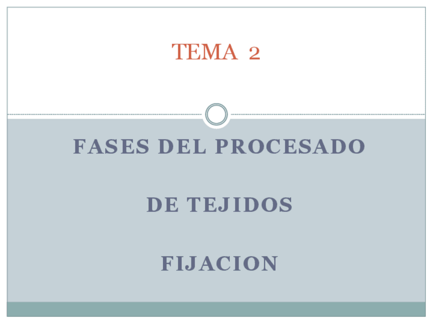 Miniatura del documento TEMA-2.pdf