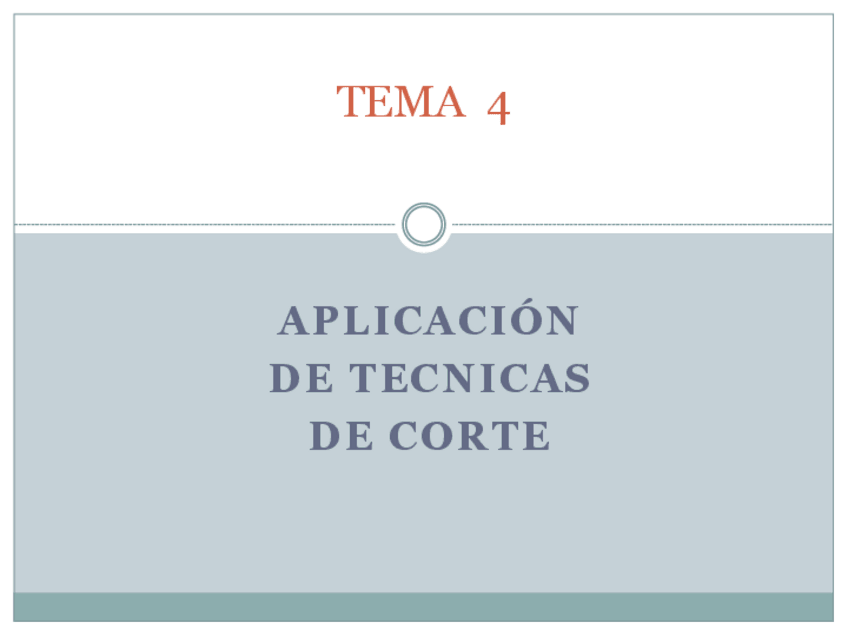 Miniatura del documento TEMA-4.pdf
