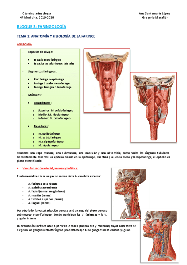 Miniatura del documento Bloque-3-Faringologia.pdf