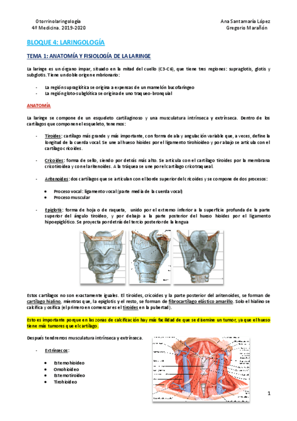 Miniatura del documento Bloque-4-Laringologia.pdf