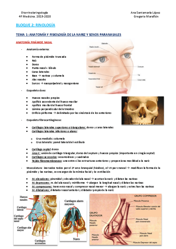 Miniatura del documento Bloque-2-Rinologia.pdf