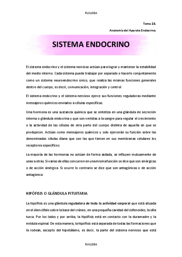 Miniatura del documento Tema-23.pdf