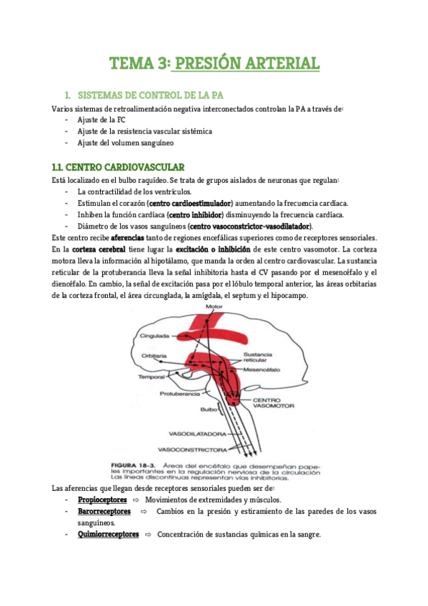 Miniatura del documento Tema-3.pdf