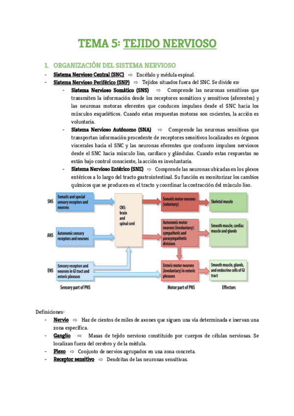Miniatura del documento Tema-5.pdf
