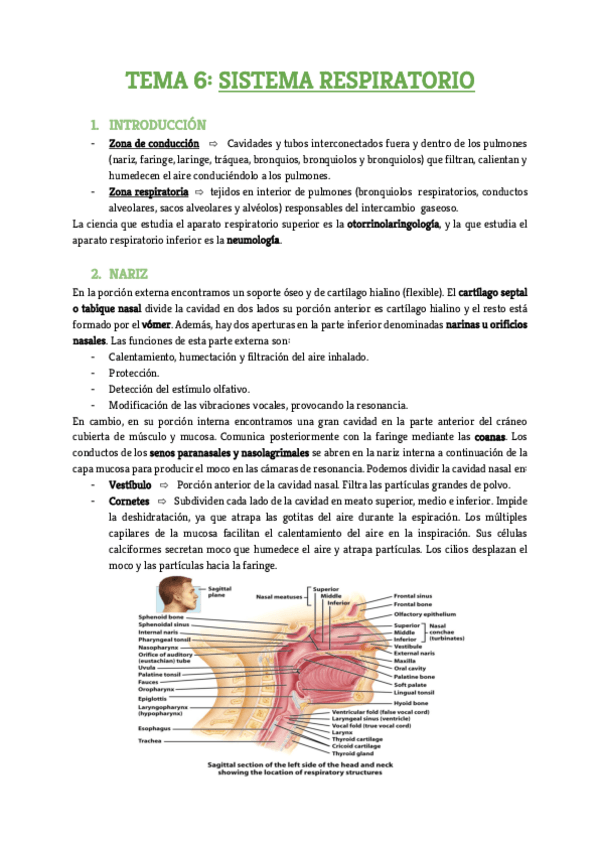 Miniatura del documento Tema-6.pdf