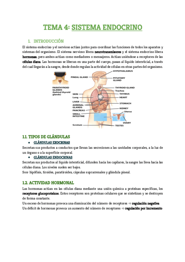 Miniatura del documento Tema-4.pdf