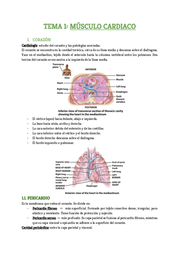 Miniatura del documento Tema-1.pdf