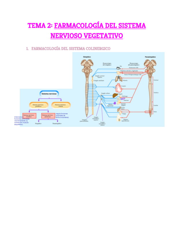 Miniatura del documento Tema-2.pdf